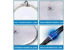 China Mosquito Proof LED Solar Ceiling Light With 12W Power And 60 LED Chips supplier
