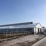Weld Steel Structure Cow Shed Construction , Temporary Livestock Shelter for sale