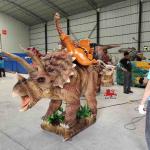 Indoor Animatronic Triceratops Ride On Dinosaur Customized Size