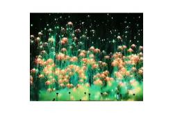 China New Year Toy Firework Jellyfish Consumer Novelty Fireworks Skyshots Pyrotechnic supplier