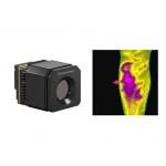 Thermal Camera For Fever Detection, Uncooled LWIR Thermal Module 400x300 17μm for sale