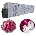 Industrial Washing Drying Onion Processing Equipment For Fruit Vegetable for sale