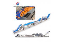 China Fruit and vegetable selection  washing and drying production line supplier