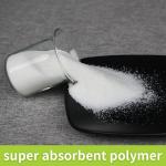 Environmentally Friendly Sap Super Absorbent Polymer 9003-04-7 Sap Sodium Polyacrylate