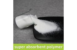 China Environmentally Friendly Sap Super Absorbent Polymer 9003-04-7 Sap Sodium Polyacrylate supplier