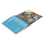 Custom Picture Book Printing UV Varnish Gloss / Matte Lamination