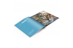 China Custom Picture Book Printing UV Varnish Gloss / Matte Lamination supplier