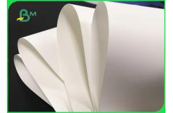 China 150um Waterproof White Matt Or Glossy Polypropylene Paper Untearable supplier