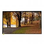 16.2M 15.6 Inch LCD Screen 1366×768 AUO TFT Display for sale