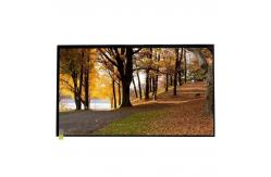 China 16.2M 15.6 Inch LCD Screen 1366×768 AUO TFT Display supplier