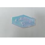 Clothing Holographic Effect TPU Heat Transfer Label With High Frequency for sale