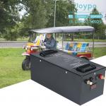 50Ah 100Ah 150Ah 200Ah 48V Lithium LiFePO4 Battery For Auto Rickshaw And Electric Powered Cargo Truck for sale