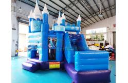 China SGS Inflatable Frozen Jumping Bouncy Castle For Gardens supplier