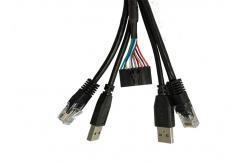 China 10 Pin 1.0mm Pitch RJ45 USB Networking Wire Harness supplier