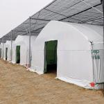 Agriculture Chinese Organic Mushroom Management Greenhouse Single-Span Greenhouses for sale