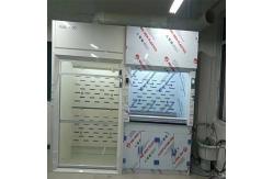 China Custom Research Lab Fume Hood With Scrubber Tank For School supplier