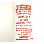 A480R18R-1 4800V 9F60 R-Rated MEDIUM VOLTAGE Fuse Motor Protection fuses for sale