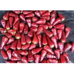 Stemmed Heaven Facing Chilli Culinary Chaotian Dry Red Chilli for sale
