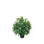 Potted Plant Evergreen Artificial Fortune Tree 30-60cm Natural Leaves For Bedroom Decor for sale