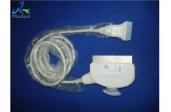 China Linear Array Used Ultrasound Probe Vivid 7 60 days warranty supplier