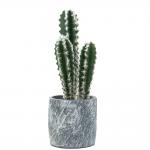 18cm All Season Artificial Potted Floor Plants Mini Bonsai Succulent Countertop Ornaments for sale