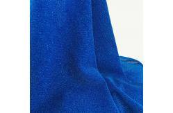 China 150cm Blue Plain Glitter Metallic Jersey Fabric 110gsm Polyester Lurex Fabric supplier