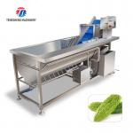 180KG Vegetable apple multi-function air bubble cleaning machine Eddy current fruit and vegetable cleaning machine for sale