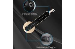 China Black Gold Smart Lock Unlock Ble App Controlled Front Door Lock supplier