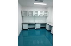 China College Steel Chemistry Lab Furniture / Laboratory Workbench With Reagent Shelves supplier