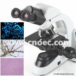 Compensation Binocular Optical Microscope LED Illumination Microscopes A12.0909 for sale
