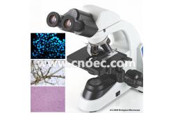 China Compensation Binocular Optical Microscope LED Illumination Microscopes A12.0909 supplier