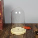 Oak Base D20 X H23cm Borosilicate Clear Glass Dome Cloche