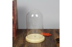 China Oak Base D20 X H23cm Borosilicate Clear Glass Dome Cloche supplier