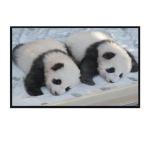 49 Inch Sunlight Readable LCD Panel Repair 2000nits Large Backpack Lcd Advertising Display for sale