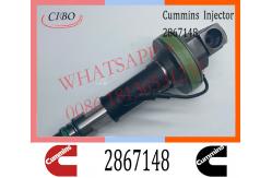 China Diesel Engine Fuel Injector 2867148 2882078 For Cummins QSK19 QSK60 Engine supplier