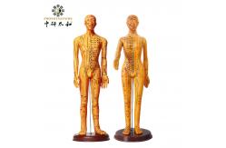 China Acupuncture Model With Flexible Joints For Learning Body Structure supplier