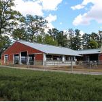 Cheap Cost and Easy Install Prefab Customized Cow Shed Prefabricated Steel Structure Design Dairy Farm for sale