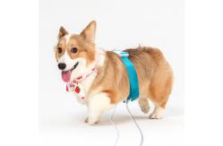 China Animal Quantum Resonance Magnetic Analyzer Free Download Software GY-D10 supplier