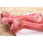 Large Rubber Chew Bones For Dogs Puzzle Toys For Aggressive Chewers