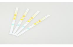 China 10 Parameter Urine Ph Test Strips Colorimetric Analysis With Color Charts supplier