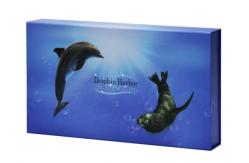 China PDF Luxury Rigid Box With Magnetic Closing Lid High End supplier