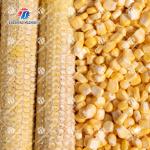 Automatic Corn Thresher Machine Maize Shelling Corn Threshing
