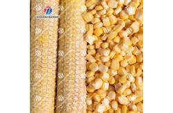 China Automatic Corn Thresher Machine Maize Shelling Corn Threshing supplier
