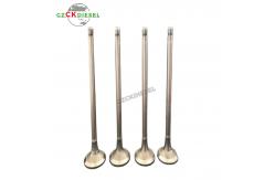 China EXHAUST VALVE 32A0421100 32A04-21100 for S4S Engine supplier