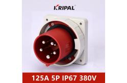 China Single Phase 125A 5 pole IP67 IEC Waterproof Panel Mounted Plug supplier