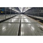 Vegetable Ebb And Flow Rolling Benches Movable Nursery Tray Hydroponics Flood Table for sale