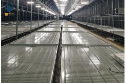 China Vegetable Ebb And Flow Rolling Benches Movable Nursery Tray Hydroponics Flood Table supplier