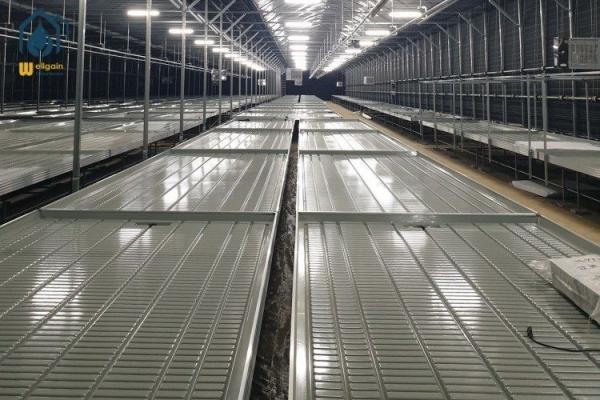 Vegetable Ebb And Flow Rolling Benches Movable Nursery Tray Hydroponics Flood Table