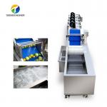 Customization Ozone Sterilization Fruit And Vegetable Processing Line Dry Detoxification for sale