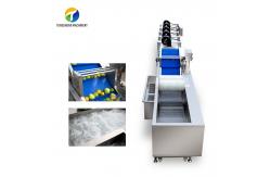 China Customization Ozone Sterilization Fruit And Vegetable Processing Line Dry Detoxification supplier
